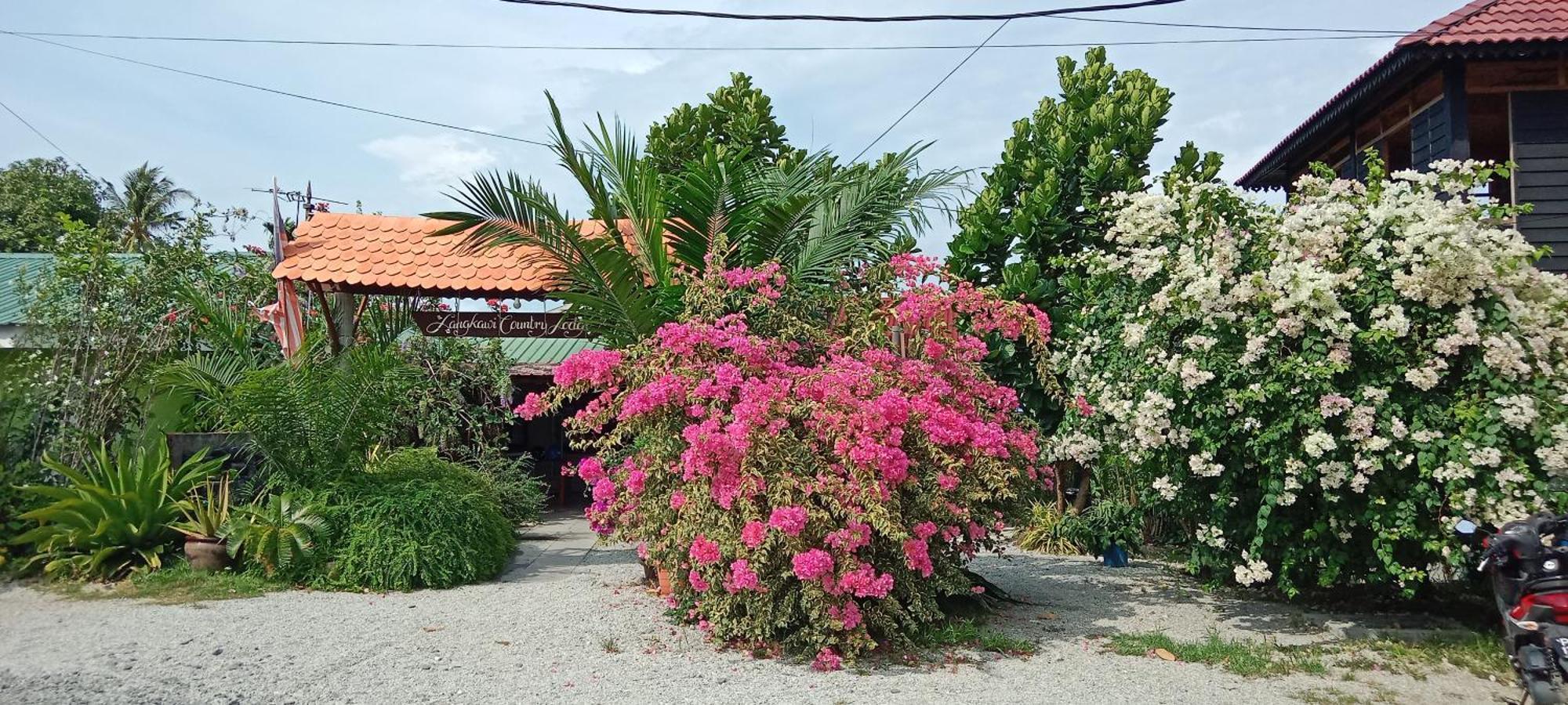 פנתאי צנאנג Langkawi Country Lodge2 מראה חיצוני תמונה